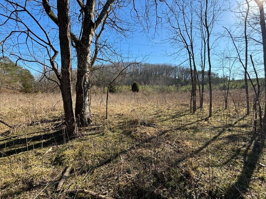 Photo of 0 Dividing Ridge Road