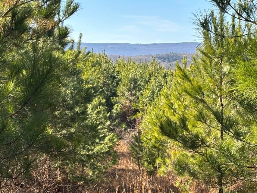 Additional photo 3 of 0 Dividing Ridge Road