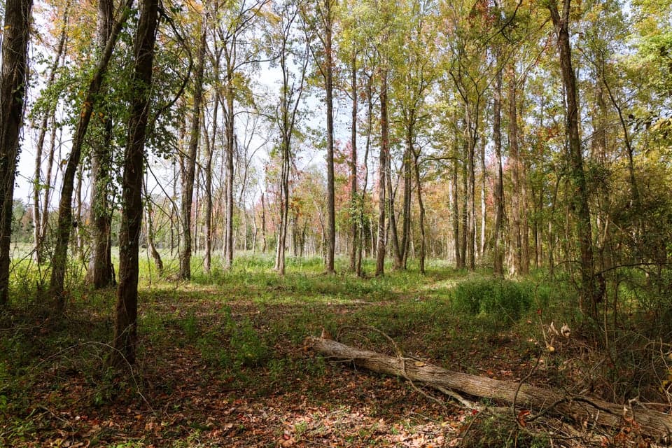 Additional photo 2 of 1282 Riverbank Ridge