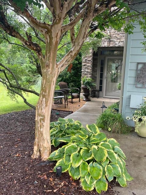 Additional photo 3 of 2317 Rivendell Lane